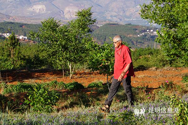 08 Patrick walks in the fields of Kabissa. [Photo Su Wenqian]
