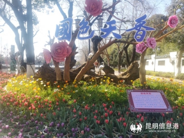 746833_670x670 746833_670x670