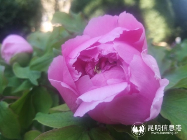 746834_670x670 746834_670x670