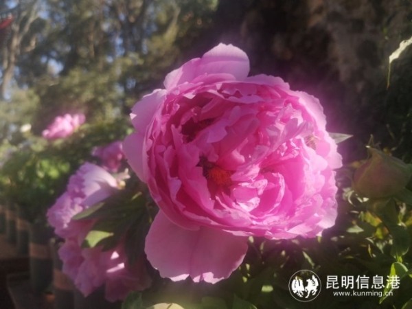 746835_670x670 746835_670x670