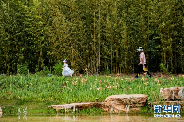 1310051091_16257926229511n 1310051091_16257926229511n