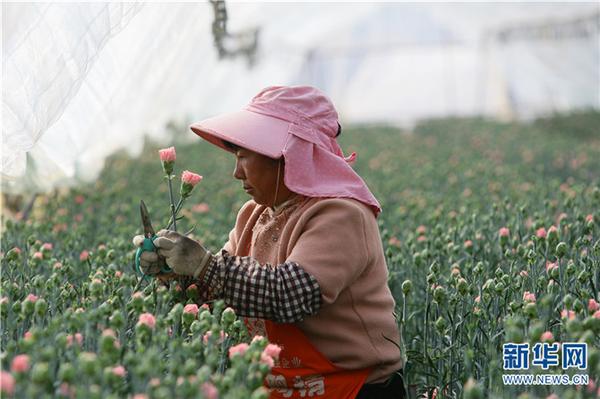 1310475125_16451934183801n