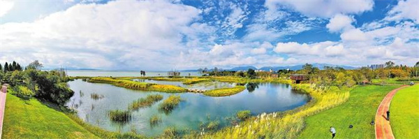 995170_670x670 995170_670x670