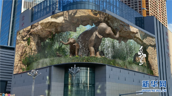 1310568743_16505916132061n 1310568743_16505916132061n