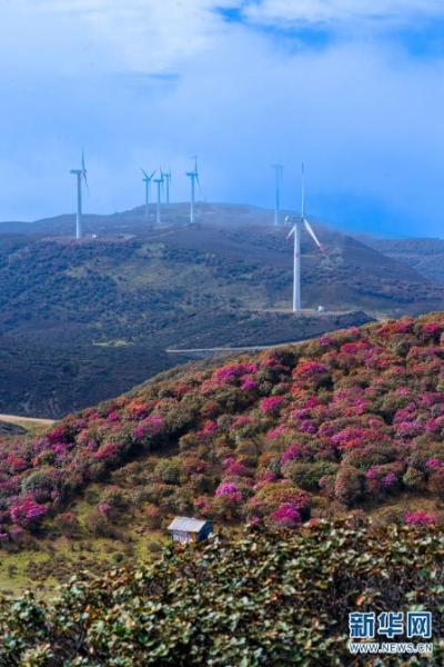 1057825_670x670 1057825_670x670