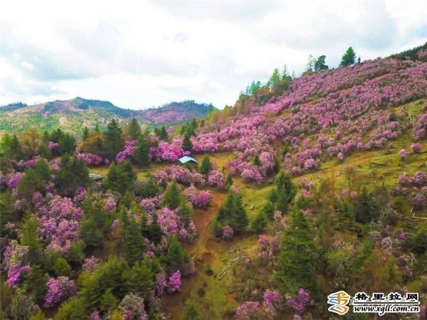 9d5940f2-e098-4ad0-9544-6f5a6f6cb410_batchwm 9d5940f2-e098-4ad0-9544-6f5a6f6cb410_batchwm