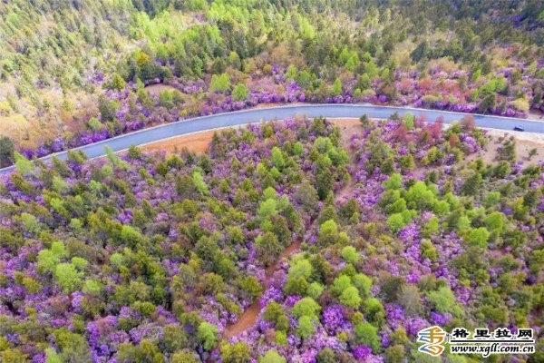 27fa722c-f88f-4b30-93c9-bd396bc7cef9_batchwm 27fa722c-f88f-4b30-93c9-bd396bc7cef9_batchwm