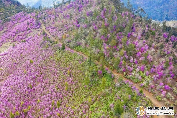 27fee169-bd81-48c8-972e-50f9e26224b6_batchwm 27fee169-bd81-48c8-972e-50f9e26224b6_batchwm