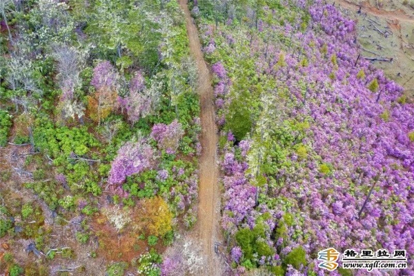 3369f6ba-b379-4cb8-af92-09a7ca422a15_batchwm 3369f6ba-b379-4cb8-af92-09a7ca422a15_batchwm