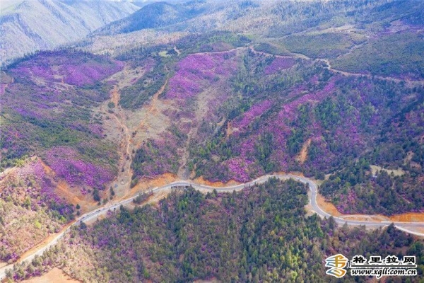 a84d6c17-cefc-48db-a661-615768e864ab_batchwm a84d6c17-cefc-48db-a661-615768e864ab_batchwm