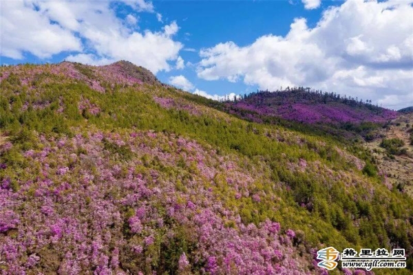 c2dd5aa1-154e-42dc-879d-5825c4005ce7_batchwm c2dd5aa1-154e-42dc-879d-5825c4005ce7_batchwm