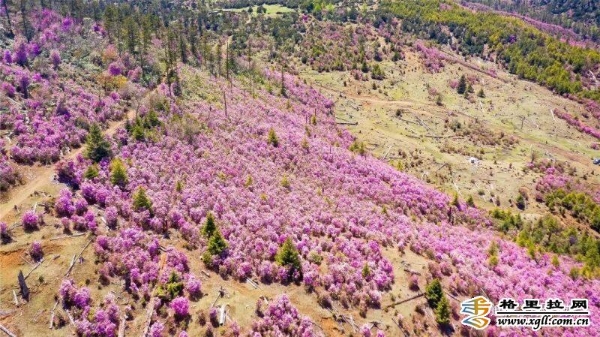 c1948dcd-78a8-403d-aa1d-e775d538d80e_batchwm c1948dcd-78a8-403d-aa1d-e775d538d80e_batchwm