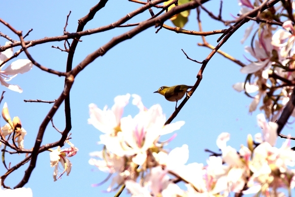 1371510_2048x2048 1371510_2048x2048