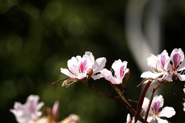 1371512_2048x2048 1371512_2048x2048