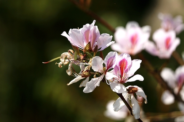 1371513_2048x2048 1371513_2048x2048