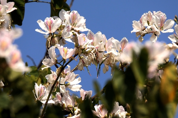 1371514_2048x2048 1371514_2048x2048