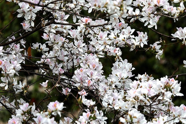 1371516_2048x2048 1371516_2048x2048