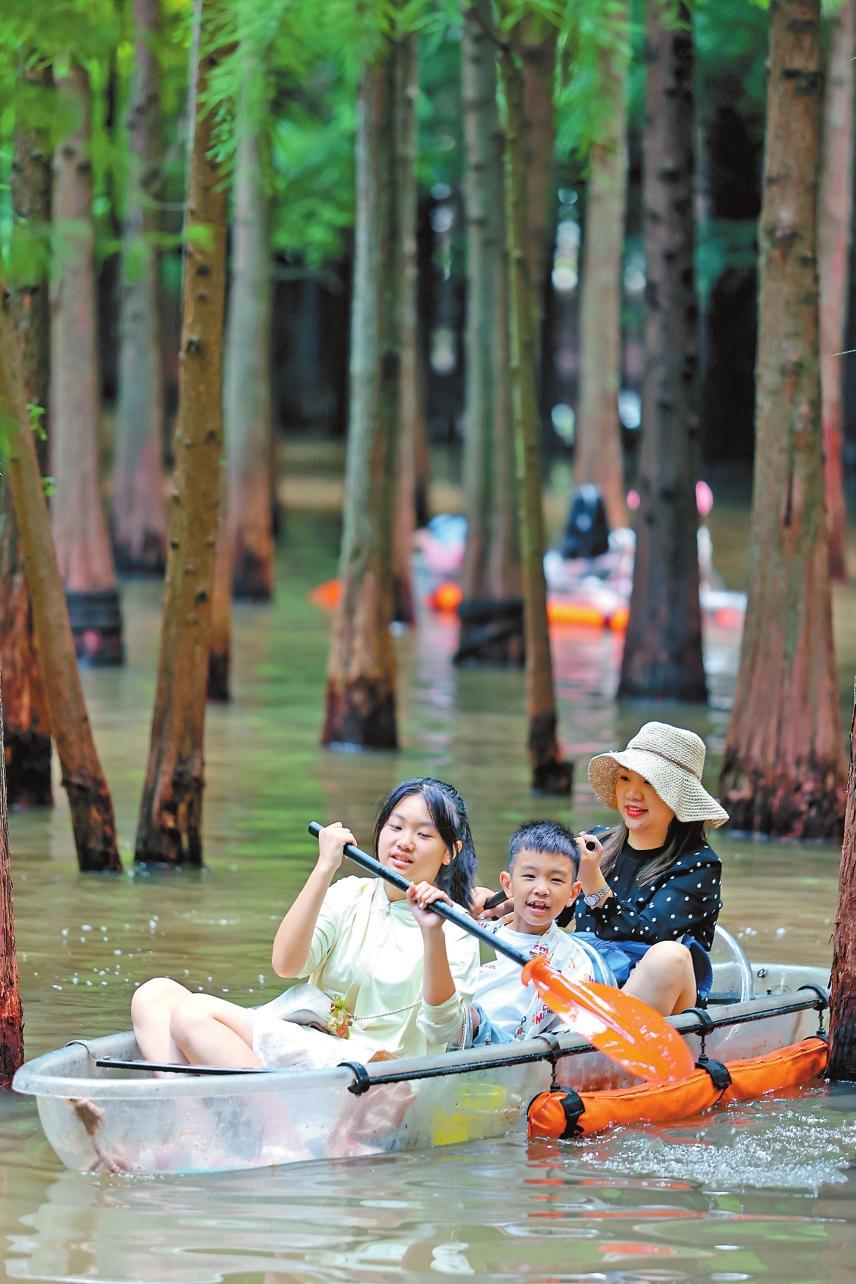 1e5429c4-59c2-40c3-ab0e-448e0bb943a3.jpg 1e5429c4-59c2-40c3-ab0e-448e0bb943a3.jpg