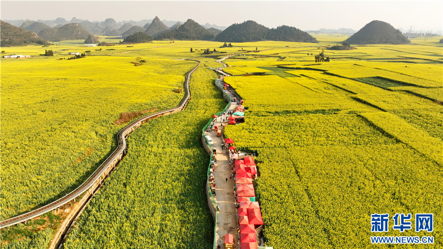 1561389_2048x2048 1561389_2048x2048