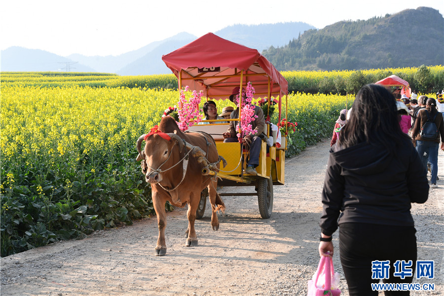 1561393_2048x2048 1561393_2048x2048