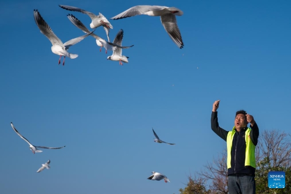 202412124f14a4e40ae740ee8baecd24ae086699_202412125926fea0dc354d1484dd5c3b66d0194a 202412124f14a4e40ae740ee8baecd24ae086699_202412125926fea0dc354d1484dd5c3b66d0194a