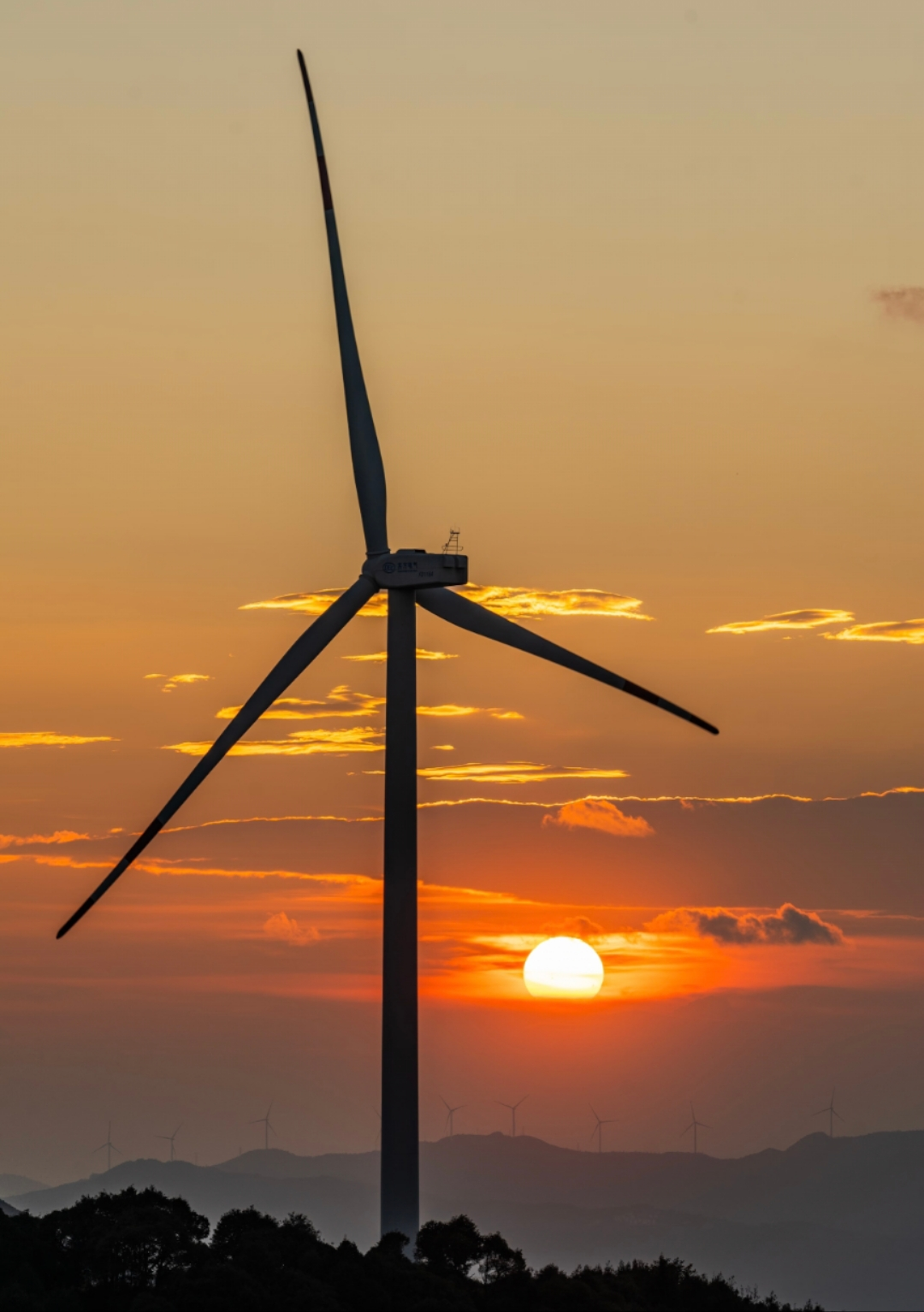 圖源：小紅書用戶 理想鄧