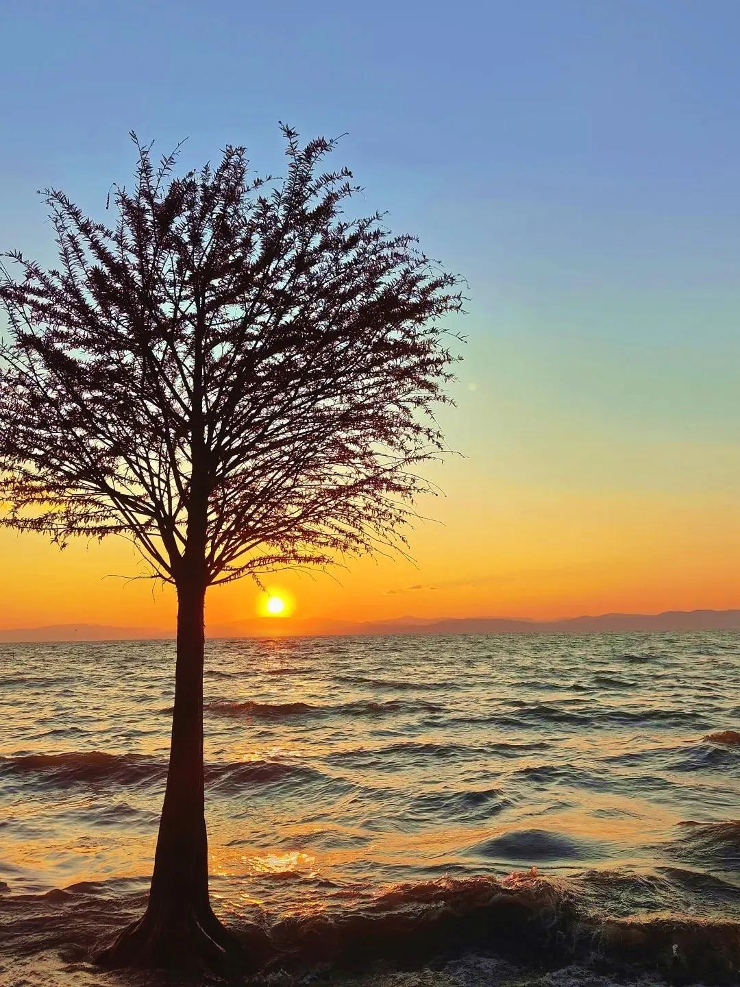 圖源：小紅書(shū)@C1(1)