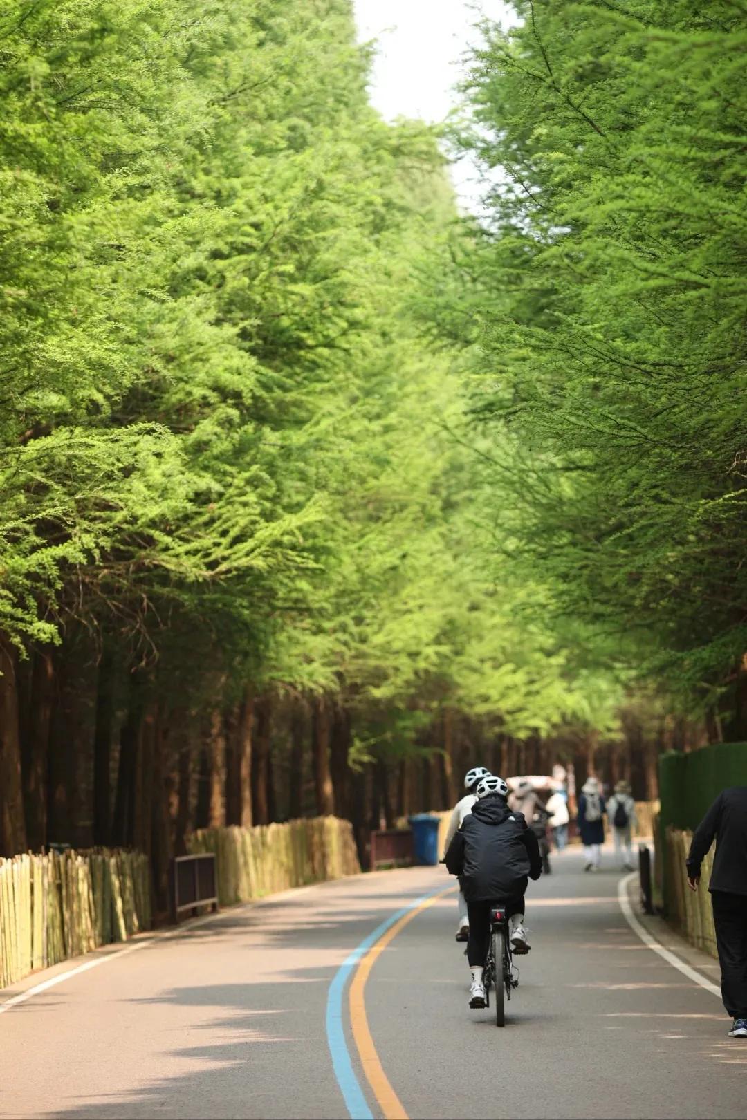 圖源：小紅書(shū)@伽瑞3(1)