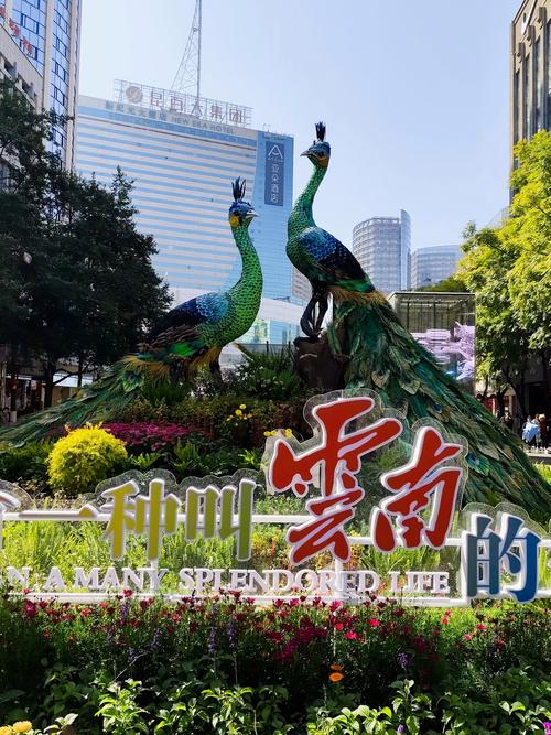 有一種叫云南的生活 有一種叫云南的生活