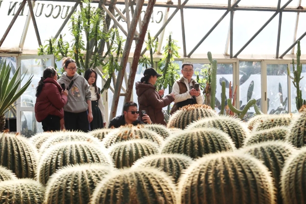 公園熱帶植物吸引游客拍照。記者黃曉松 攝