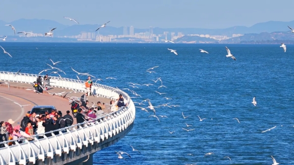 圖片 (6) 圖片 (6)