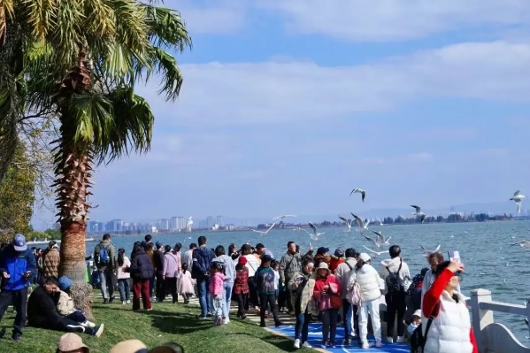 圖片 (4) 圖片 (4)