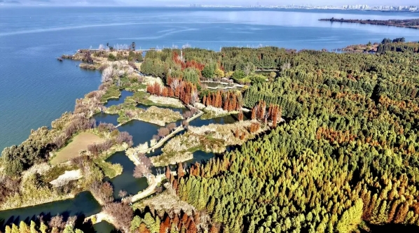 圖片15.png 圖片15.png