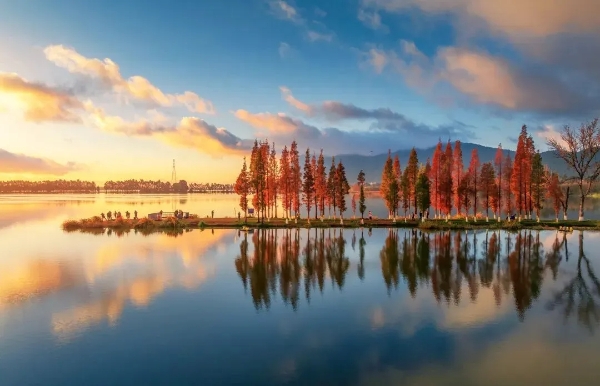 圖片17.png 圖片17.png