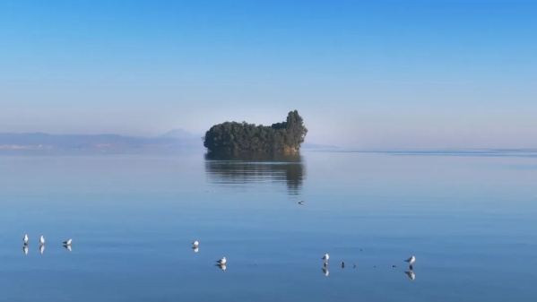 d77b5069312548fdfd902da0bfc99bb3.jpg d77b5069312548fdfd902da0bfc99bb3.jpg