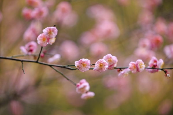 09dfbc6add884f92a9d491d4e2a3295e