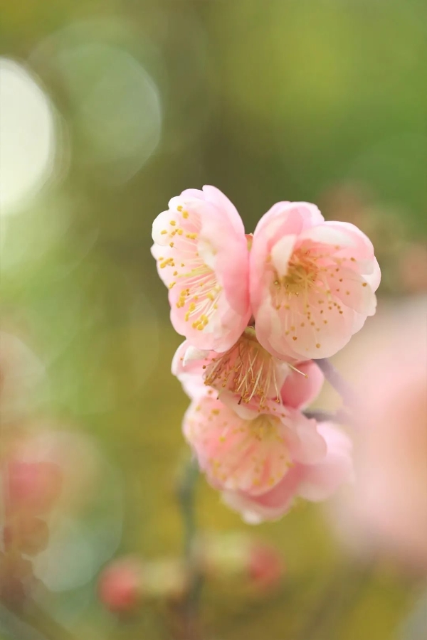 a153cf0d8fbe4a49abd056772ca2cc3c