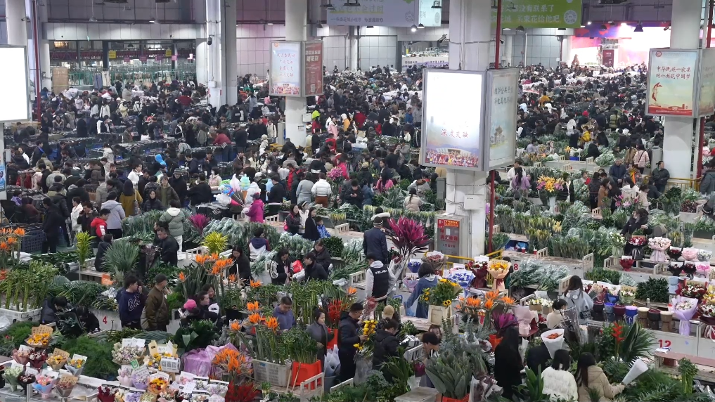 202602022ee982b3e1d74fcdbcfdb3a78e0b8ae3_2ca502c9954e4084aa52be512faf1492