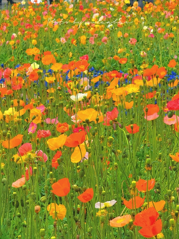 微信圖片_20260211165104_191_7 微信圖片_20260211165104_191_7