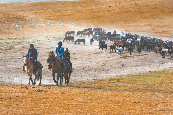 698c3f8fa310d68600f7d5ef