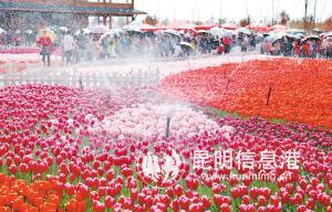 82741544977453685 82741544977453685