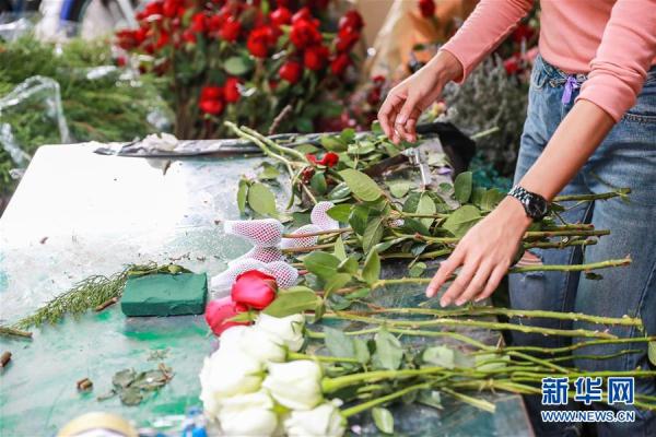 從云南田間到泰國花店——云南鮮花的南洋之旅