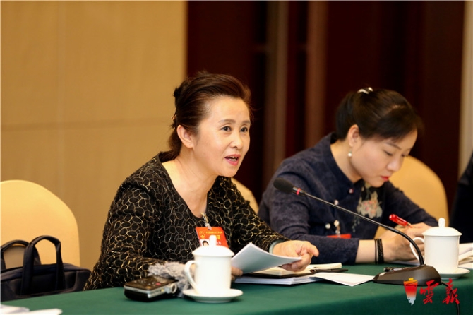 云南省代表團(tuán)分組審議兩高工作報(bào)告等 陳豪阮成發(fā)等參加