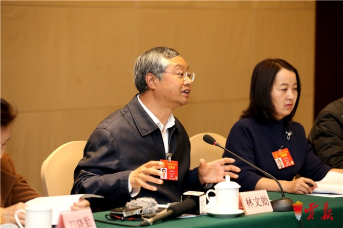 云南省代表團(tuán)分組審議兩高工作報(bào)告等 陳豪阮成發(fā)等參加