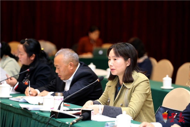 云南省代表團(tuán)分組審議兩高工作報(bào)告等 陳豪阮成發(fā)等參加