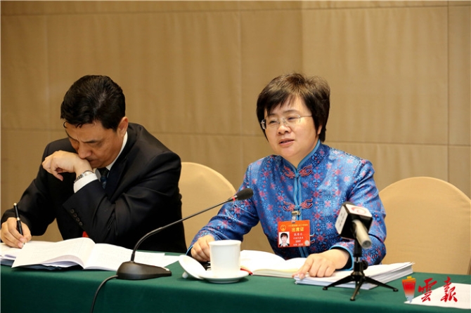 云南省代表團(tuán)分組審議兩高工作報(bào)告等 陳豪阮成發(fā)等參加