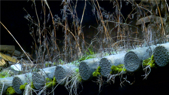 QQ圖片20190719095035 QQ圖片20190719095035