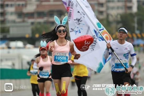 223295_500x500 223295_500x500