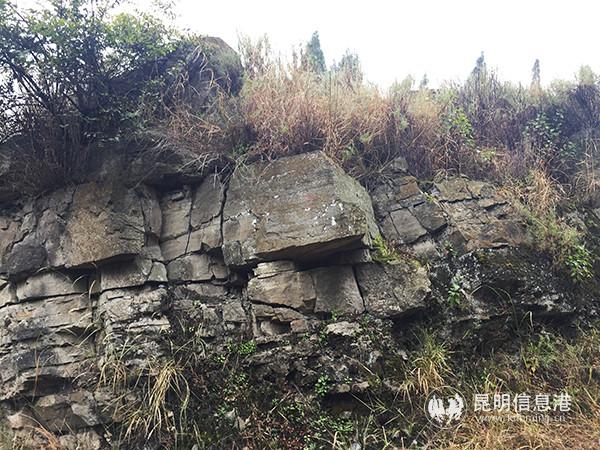 梅樹(shù)村剖面一隅。記者孫紅亮攝