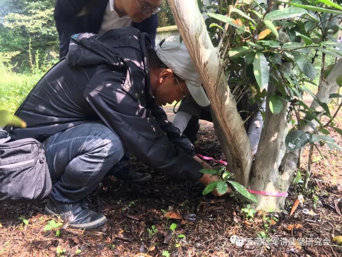 微信圖片_20200623204612 微信圖片_20200623204612